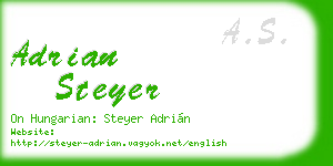 adrian steyer business card